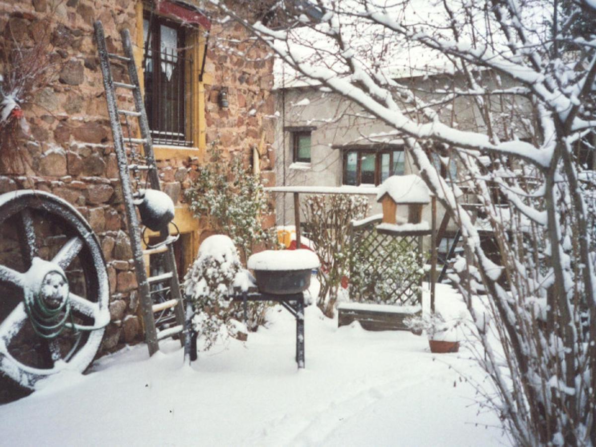 Gite Charmant Avec Jardin Privatif, Proche Sites Historiques Et Activites De Plein Air - Fr-1-496-183 Cuinzier 外观 照片