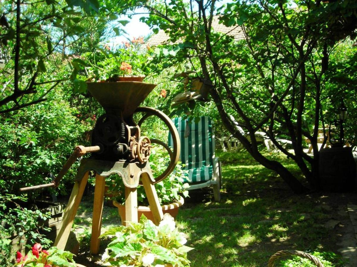 Gite Charmant Avec Jardin Privatif, Proche Sites Historiques Et Activites De Plein Air - Fr-1-496-183 Cuinzier 外观 照片